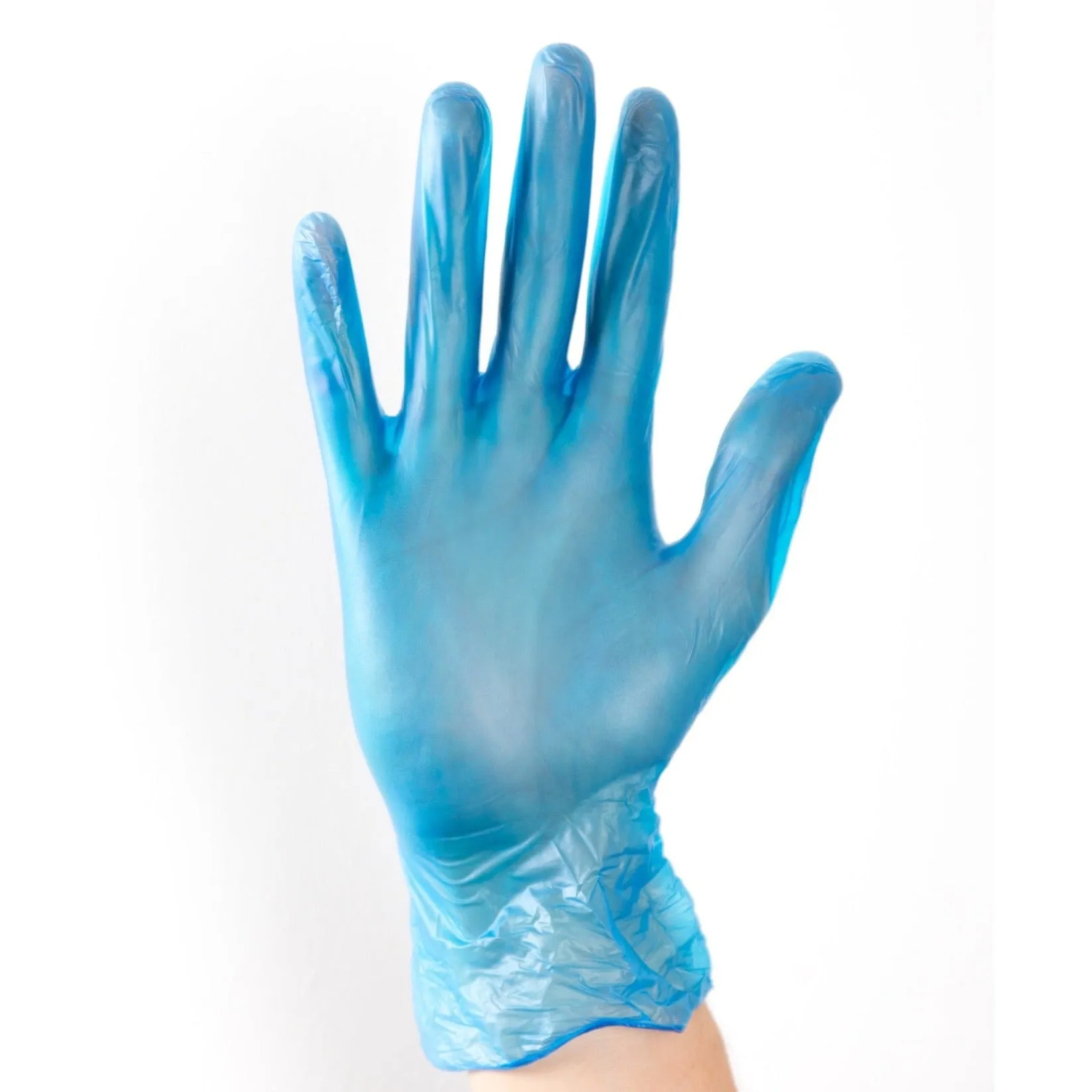 Aurelia Delight BLUE Powder Free Vinyl Examination Gloves 3899